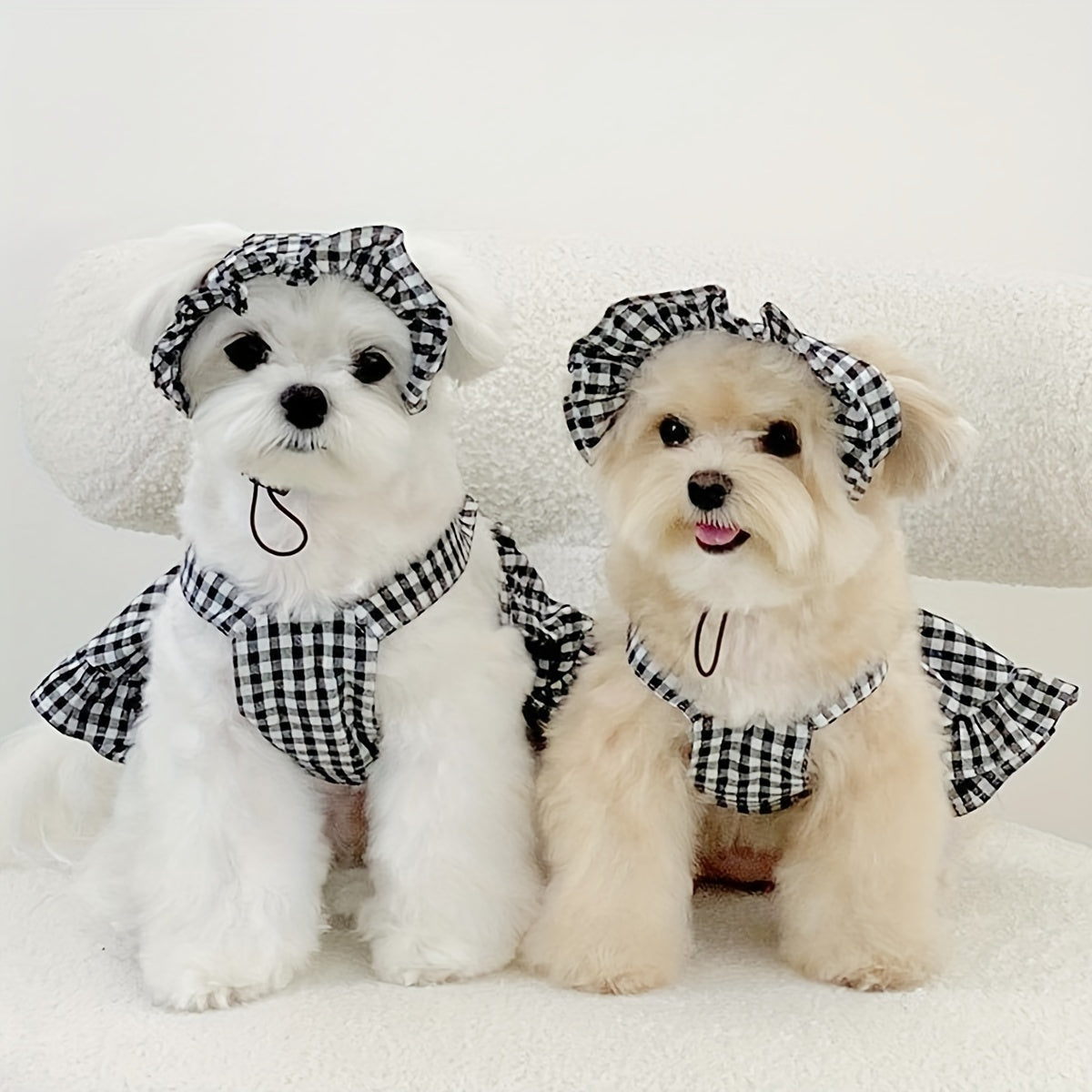 2pcs Plaid Print Pet Dress & Ruffle Trim Hat Set Lovely Dog And Cat Summer Skirt Clothes For Puppy And Kitten Outing Dressing Costume